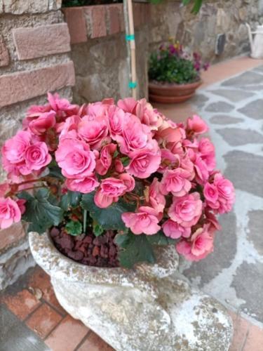 Chianti-Home Palagione Strada in Chianti ภายนอก รูปภาพ